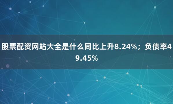 股票配资网站大全是什么同比上升8.24%；负债率49.45%