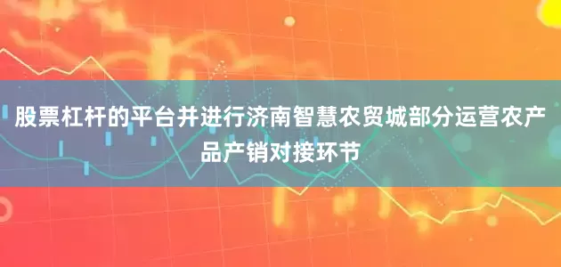 股票杠杆的平台并进行济南智慧农贸城部分运营农产品产销对接环节