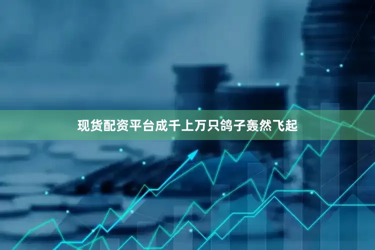 现货配资平台成千上万只鸽子轰然飞起