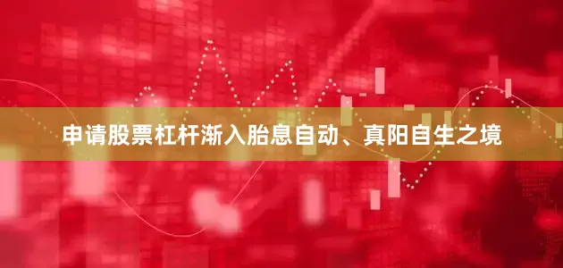 申请股票杠杆渐入胎息自动、真阳自生之境