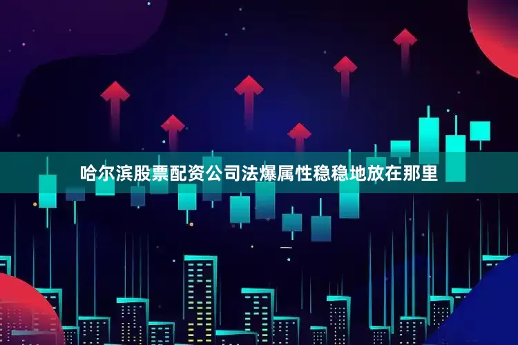哈尔滨股票配资公司法爆属性稳稳地放在那里
